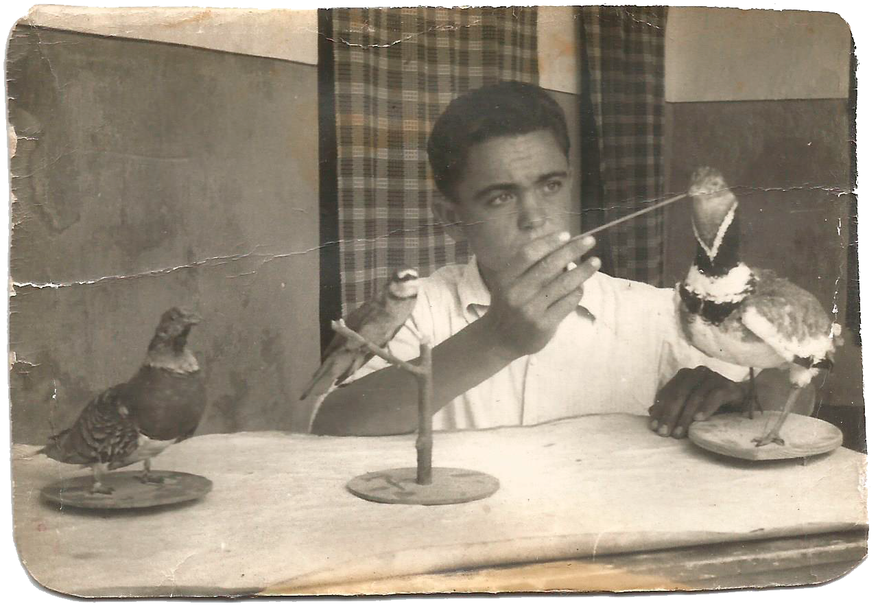 Taxidermia Polan - Jesús Polán Limón