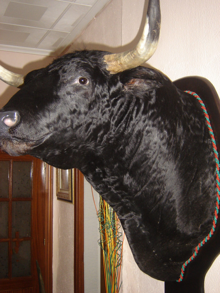 Tauromaquia